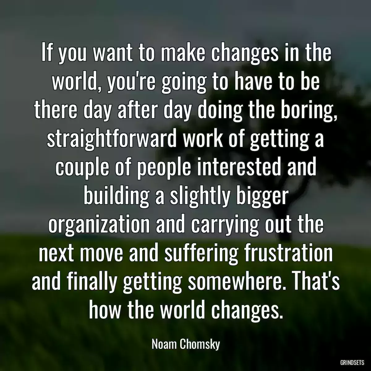 If you want to make changes in the world, you\'re going to have to be there day after day doing the boring, straightforward work of getting a couple of people interested and building a slightly bigger organization and carrying out the next move and suffering frustration and finally getting somewhere. That\'s how the world changes.