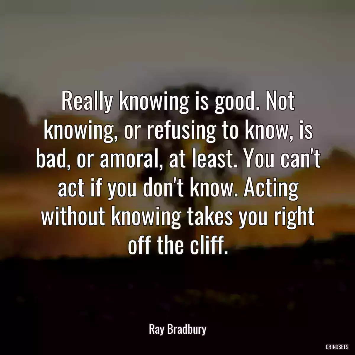 Really knowing is good. Not knowing, or refusing to know, is bad, or amoral, at least. You can\'t act if you don\'t know. Acting without knowing takes you right off the cliff.