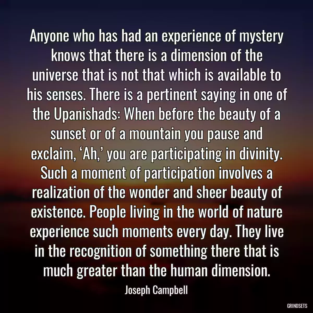 Anyone who has had an experience of mystery knows that there is a dimension of the universe that is not that which is available to his senses. There is a pertinent saying in one of the Upanishads: When before the beauty of a sunset or of a mountain you pause and exclaim, ‘Ah,’ you are participating in divinity. Such a moment of participation involves a realization of the wonder and sheer beauty of existence. People living in the world of nature experience such moments every day. They live in the recognition of something there that is much greater than the human dimension.