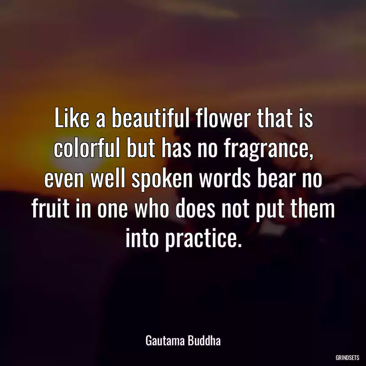 Like a beautiful flower that is colorful but has no fragrance, even well spoken words bear no fruit in one who does not put them into practice.