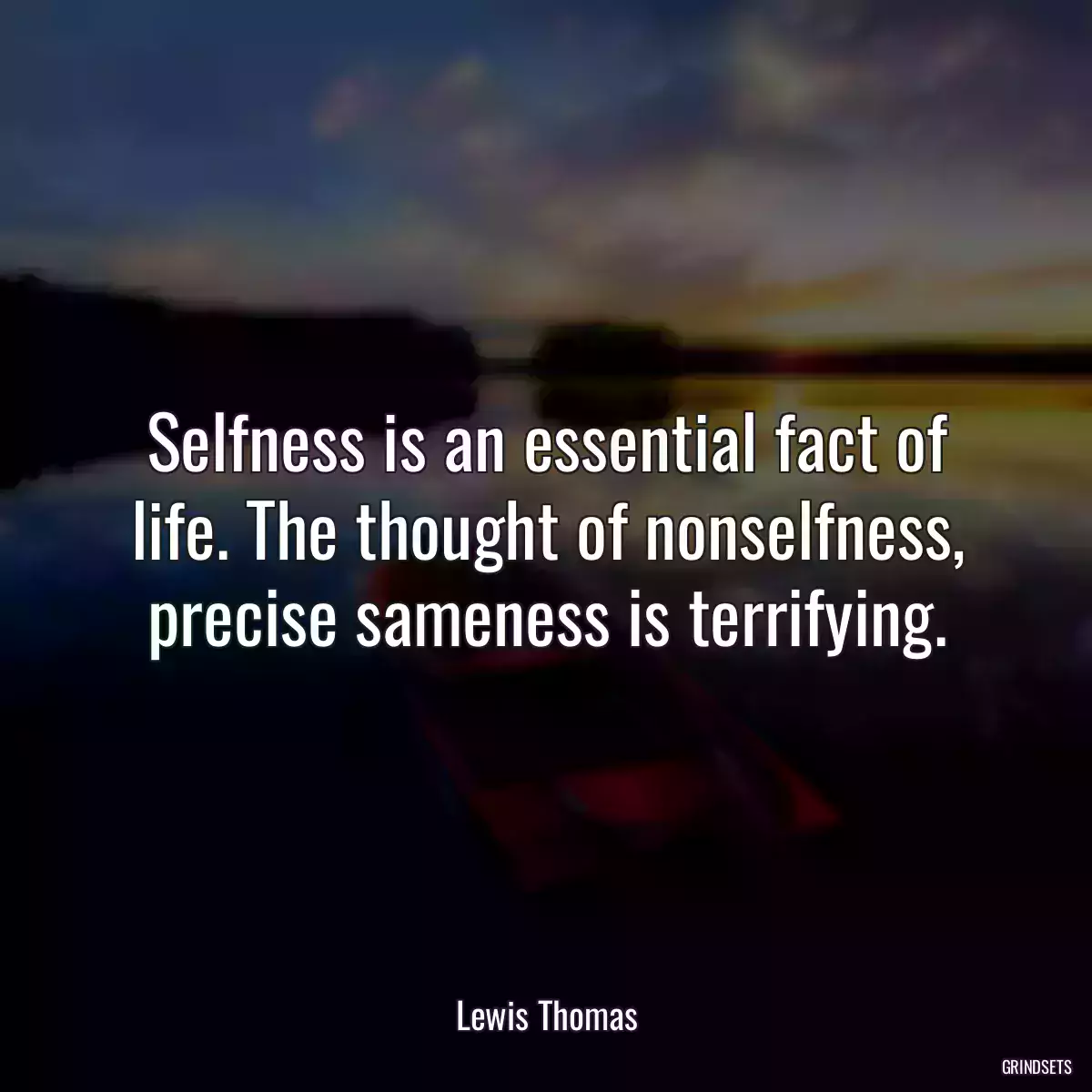 Selfness is an essential fact of life. The thought of nonselfness, precise sameness is terrifying.