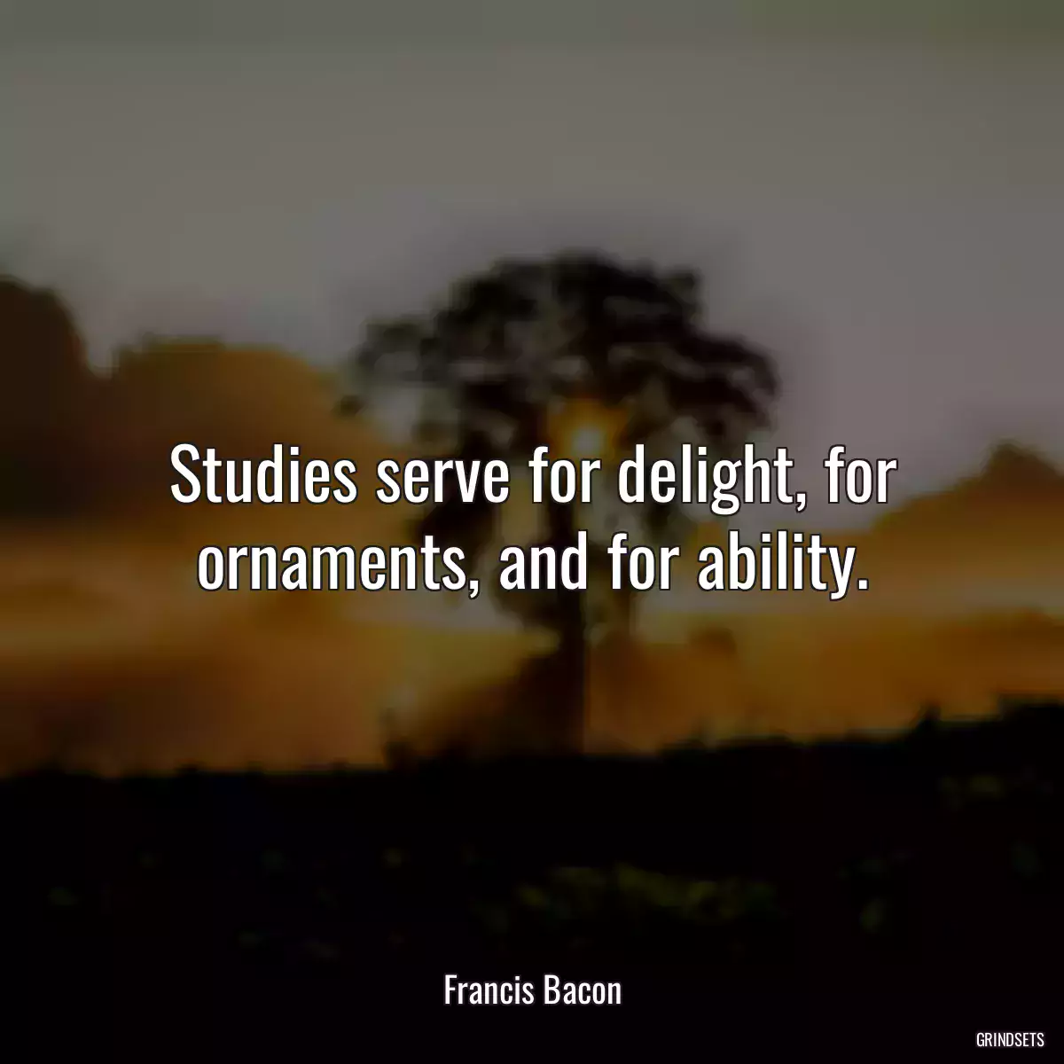 Studies serve for delight, for ornaments, and for ability.