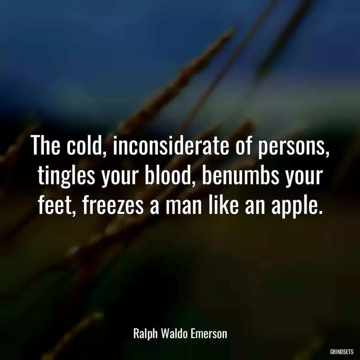 The cold, inconsiderate of persons, tingles your blood, benumbs your feet, freezes a man like an apple.