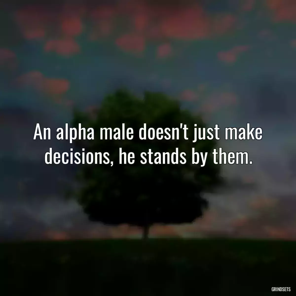 An alpha male doesn\'t just make decisions, he stands by them.