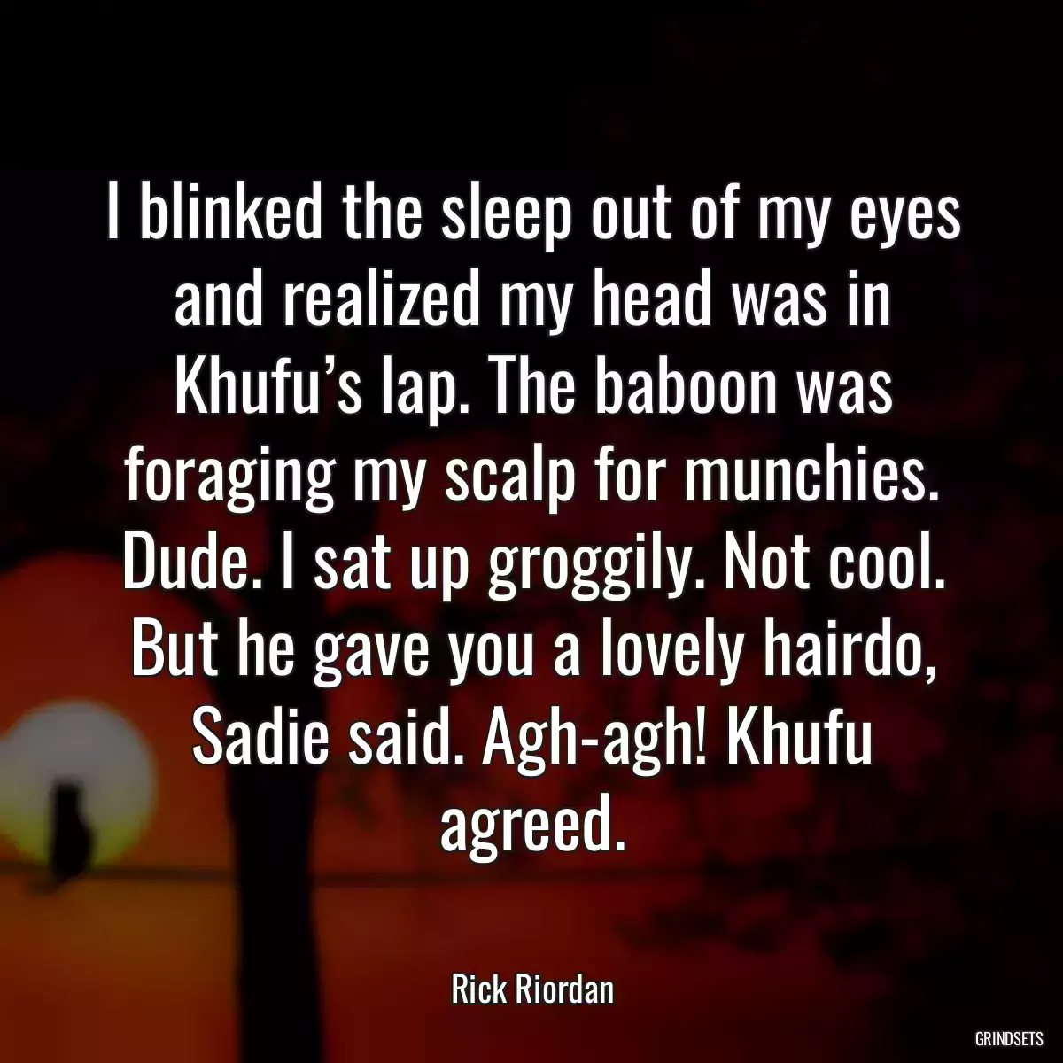 I blinked the sleep out of my eyes and realized my head was in Khufu’s lap. The baboon was foraging my scalp for munchies. Dude. I sat up groggily. Not cool. But he gave you a lovely hairdo, Sadie said. Agh-agh! Khufu agreed.