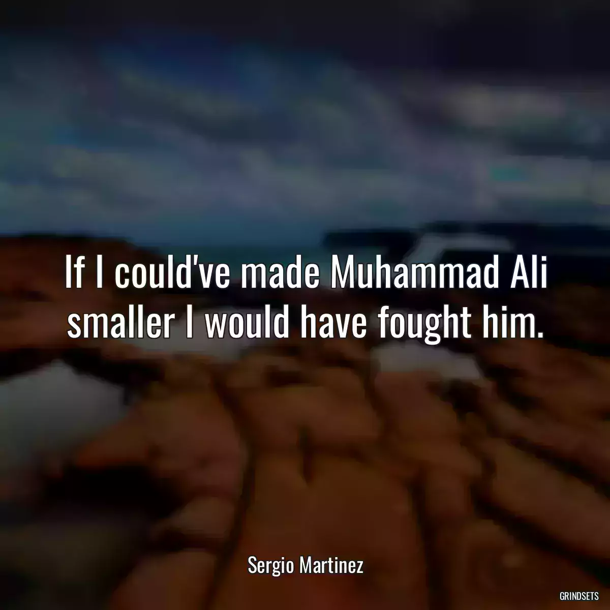 If I could\'ve made Muhammad Ali smaller I would have fought him.