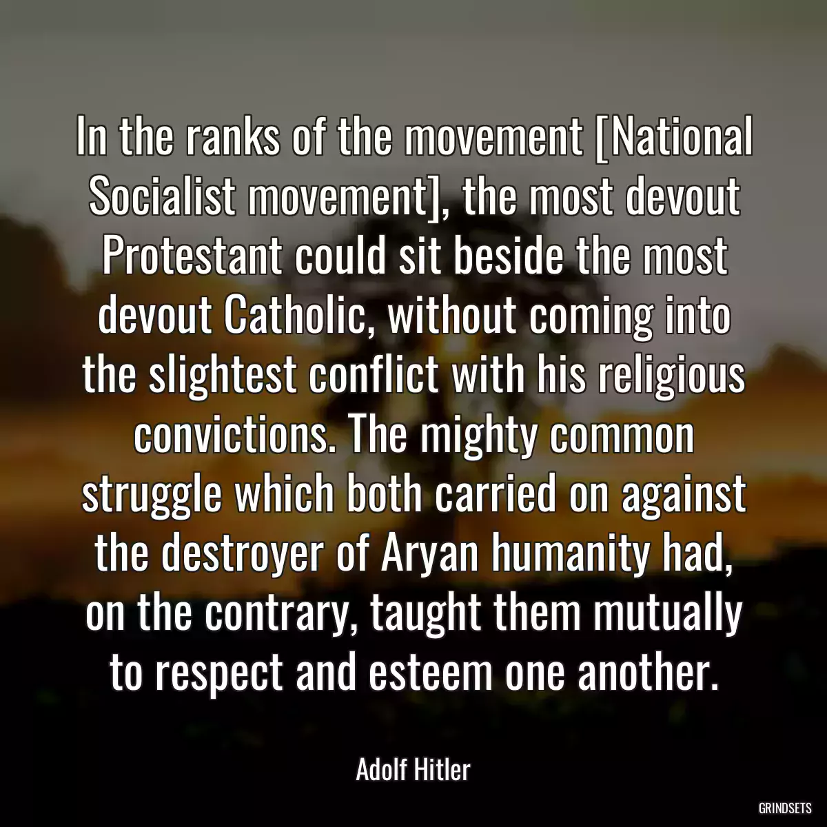 In the ranks of the movement [National Socialist movement], the most devout Protestant could sit beside the most devout Catholic, without coming into the slightest conflict with his religious convictions. The mighty common struggle which both carried on against the destroyer of Aryan humanity had, on the contrary, taught them mutually to respect and esteem one another.