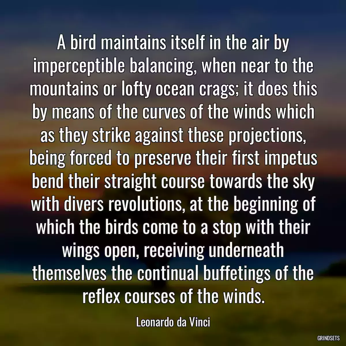 A bird maintains itself in the air by imperceptible balancing, when near to the mountains or lofty ocean crags; it does this by means of the curves of the winds which as they strike against these projections, being forced to preserve their first impetus bend their straight course towards the sky with divers revolutions, at the beginning of which the birds come to a stop with their wings open, receiving underneath themselves the continual buffetings of the reflex courses of the winds.