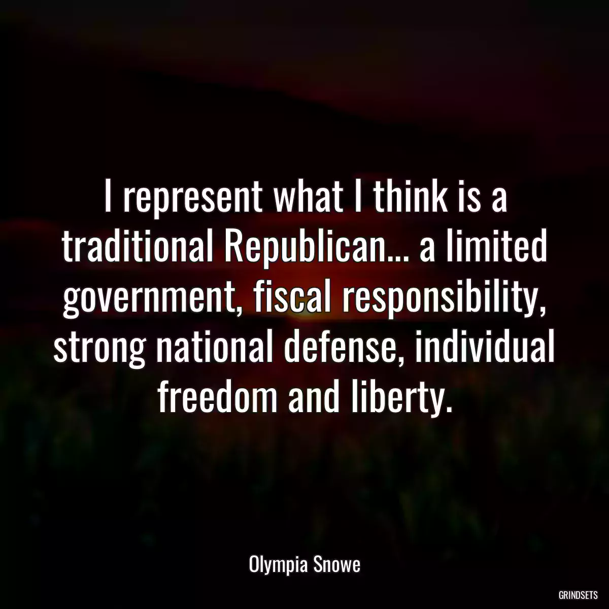 I represent what I think is a traditional Republican... a limited government, fiscal responsibility, strong national defense, individual freedom and liberty.