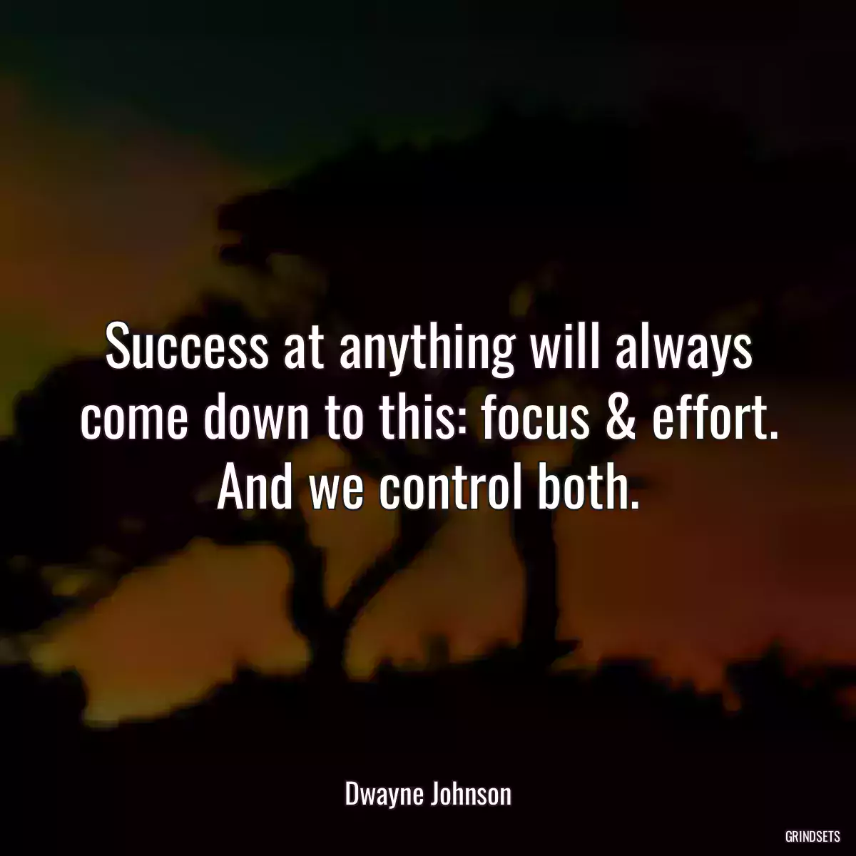 Success at anything will always come down to this: focus & effort. And we control both.