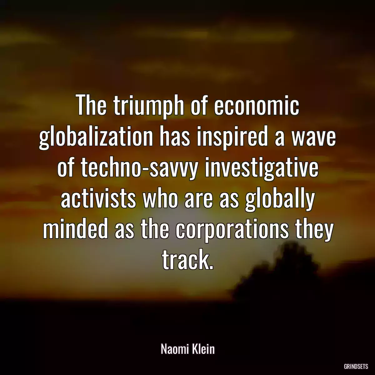 The triumph of economic globalization has inspired a wave of techno-savvy investigative activists who are as globally minded as the corporations they track.