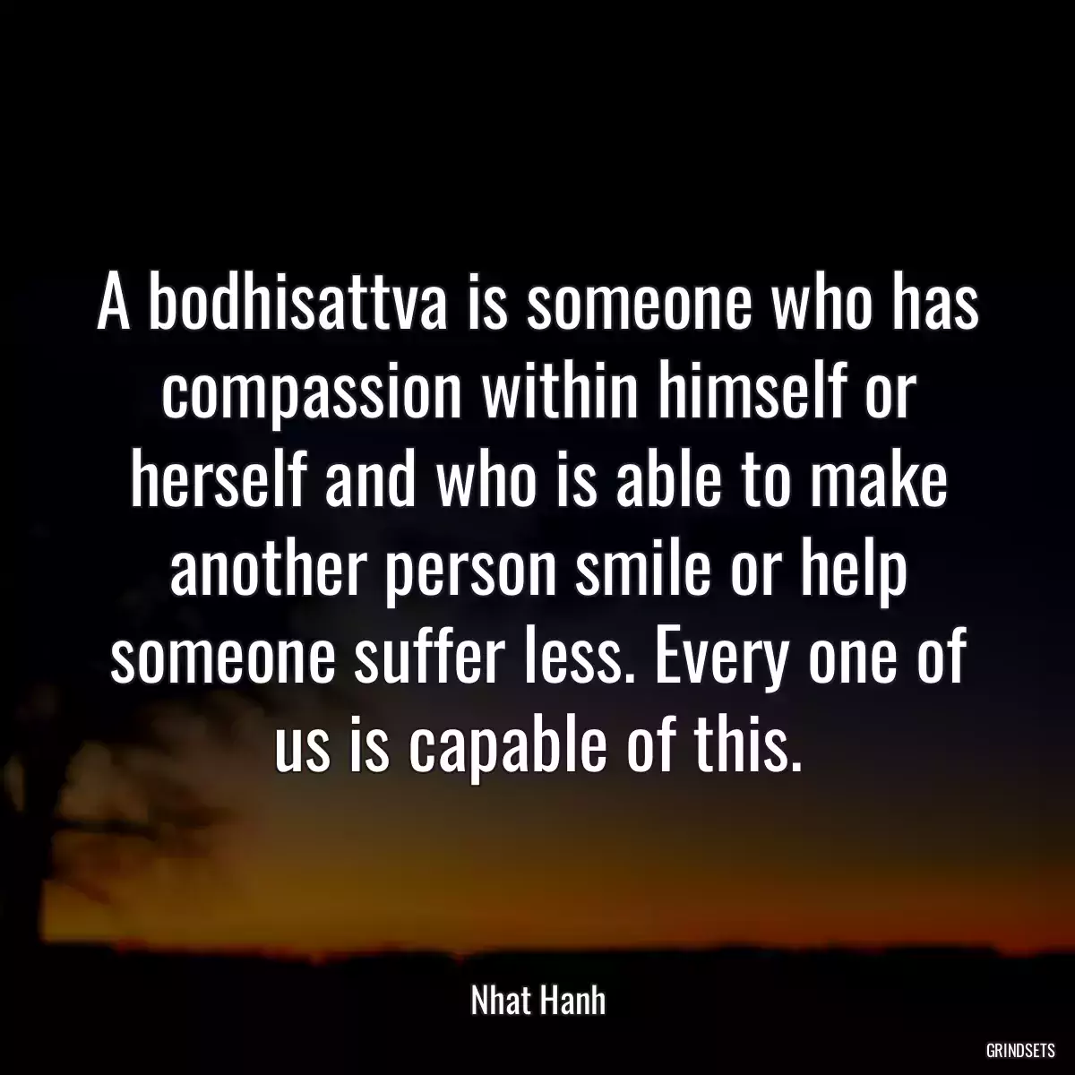 A bodhisattva is someone who has compassion within himself or herself and who is able to make another person smile or help someone suffer less. Every one of us is capable of this.