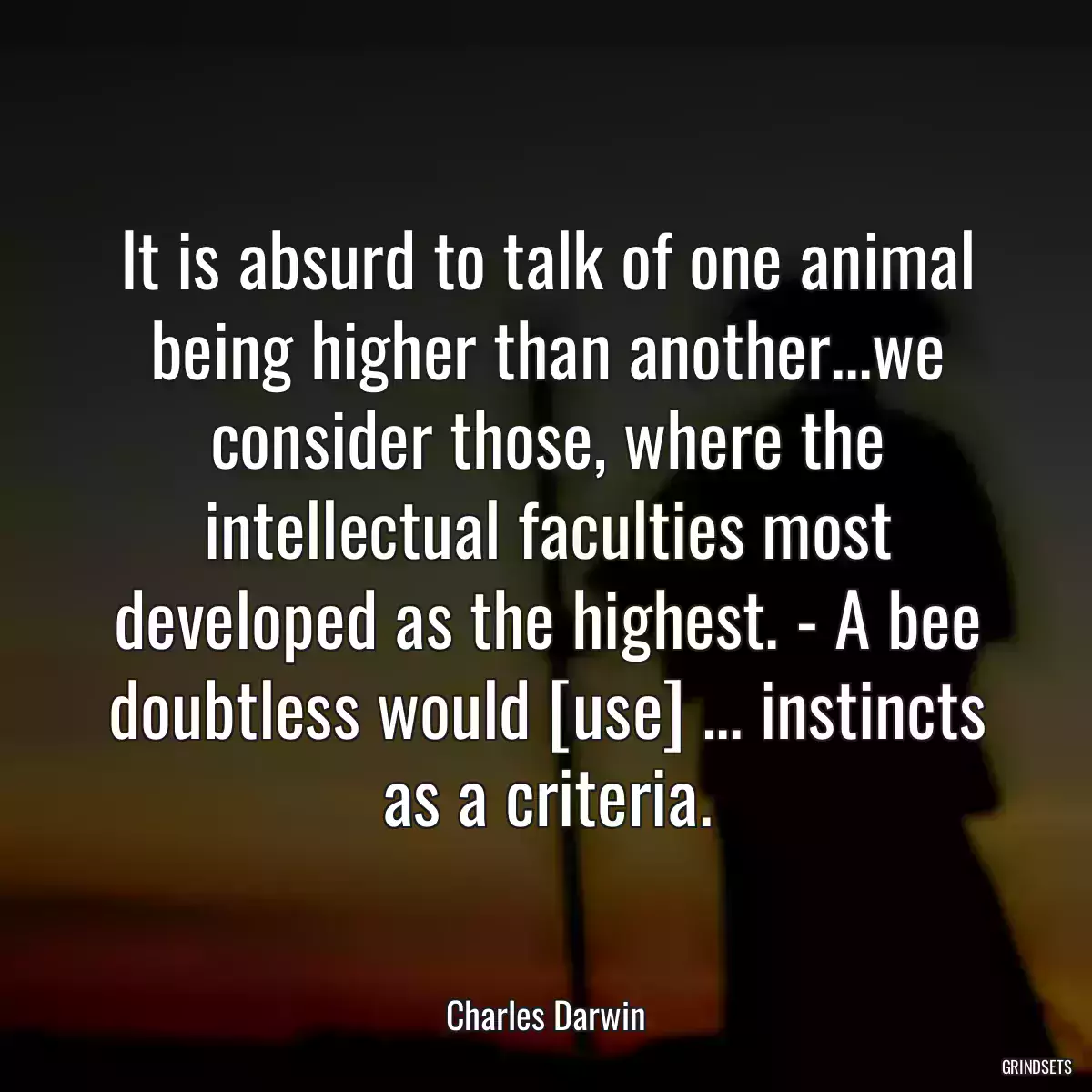 It is absurd to talk of one animal being higher than another...we consider those, where the intellectual faculties most developed as the highest. - A bee doubtless would [use] ... instincts as a criteria.