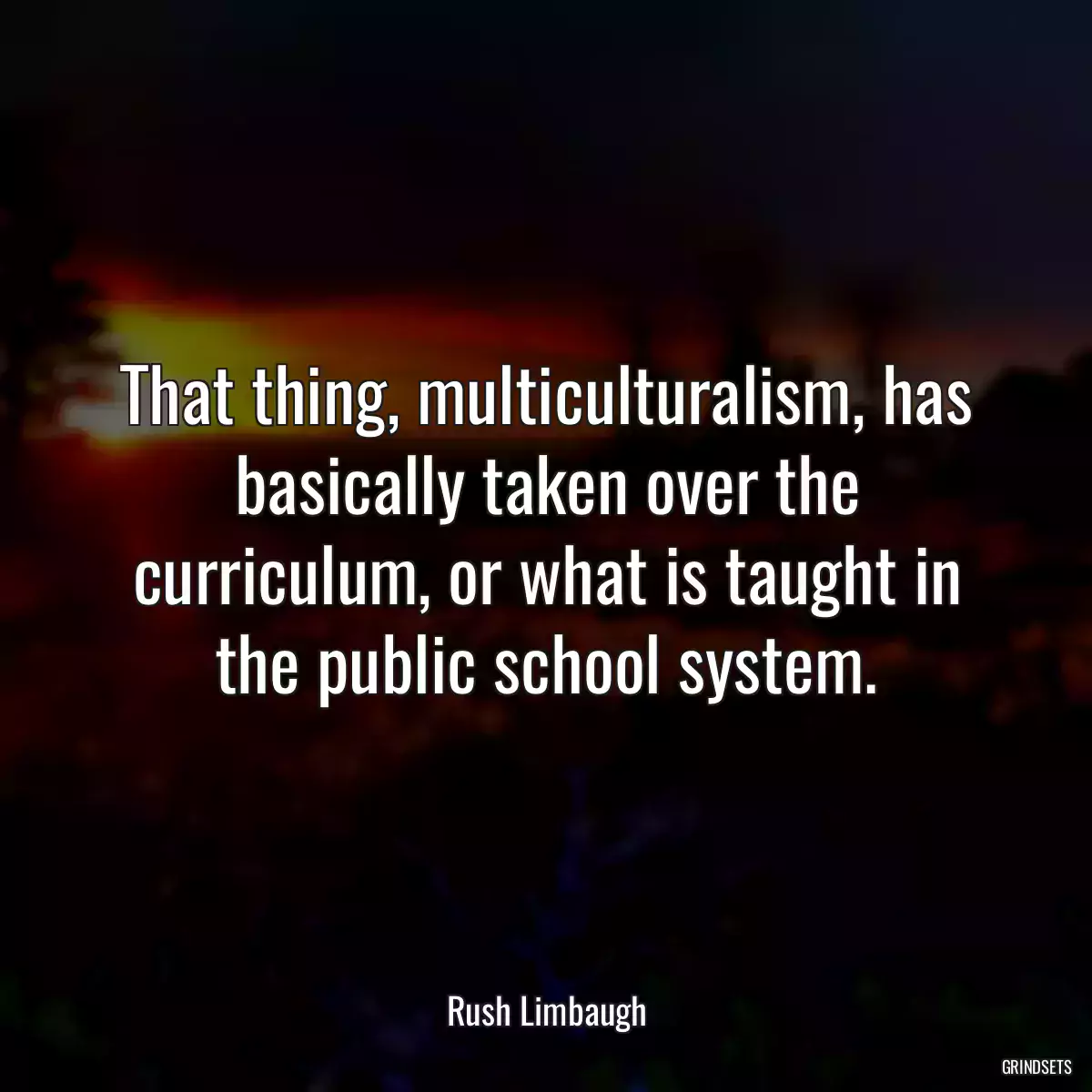 That thing, multiculturalism, has basically taken over the curriculum, or what is taught in the public school system.