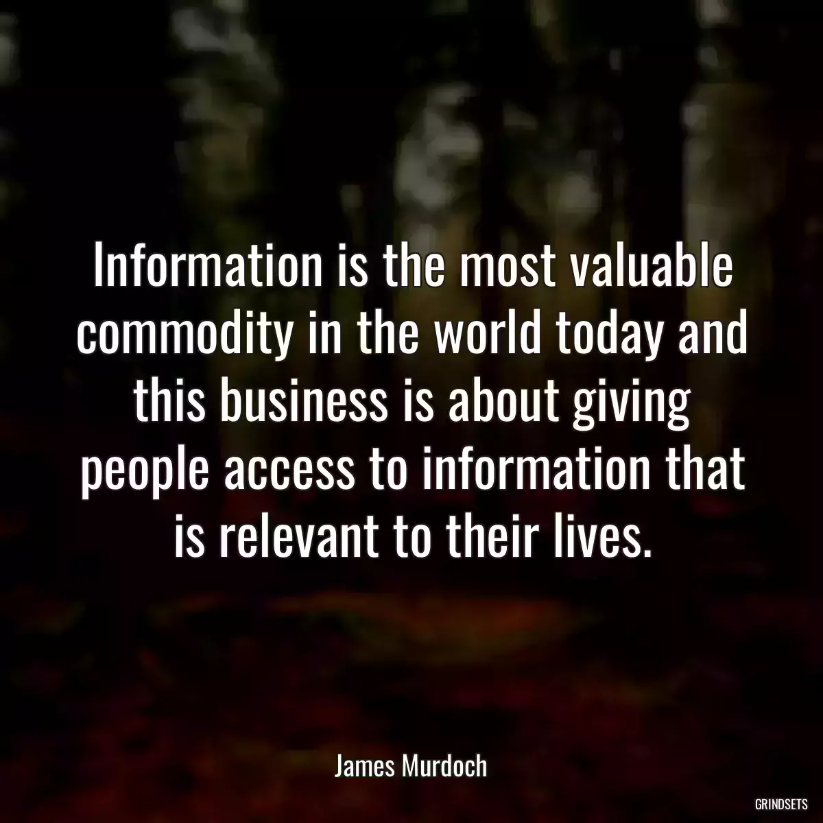 Information is the most valuable commodity in the world today and this business is about giving people access to information that is relevant to their lives.