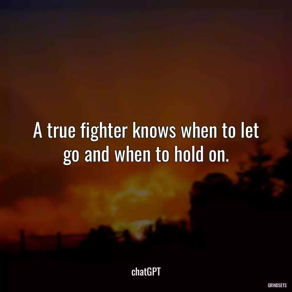 A true fighter knows when to let go and when to hold on.