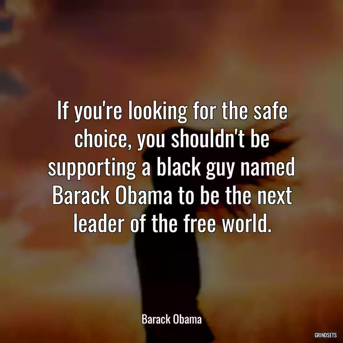 If you\'re looking for the safe choice, you shouldn\'t be supporting a black guy named Barack Obama to be the next leader of the free world.