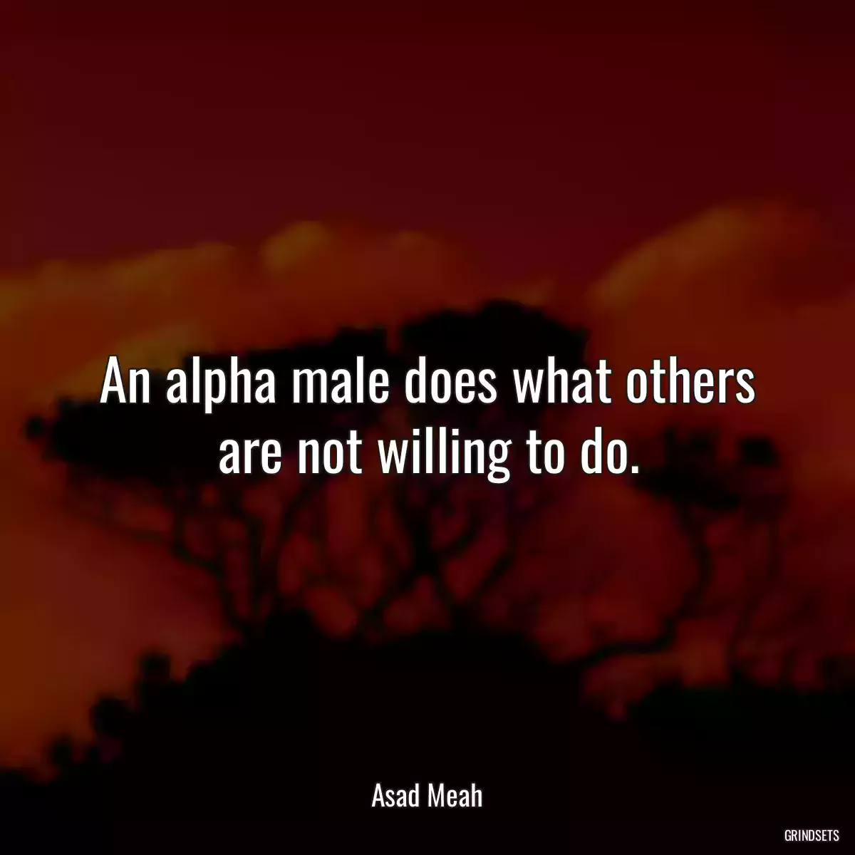 An alpha male does what others are not willing to do.