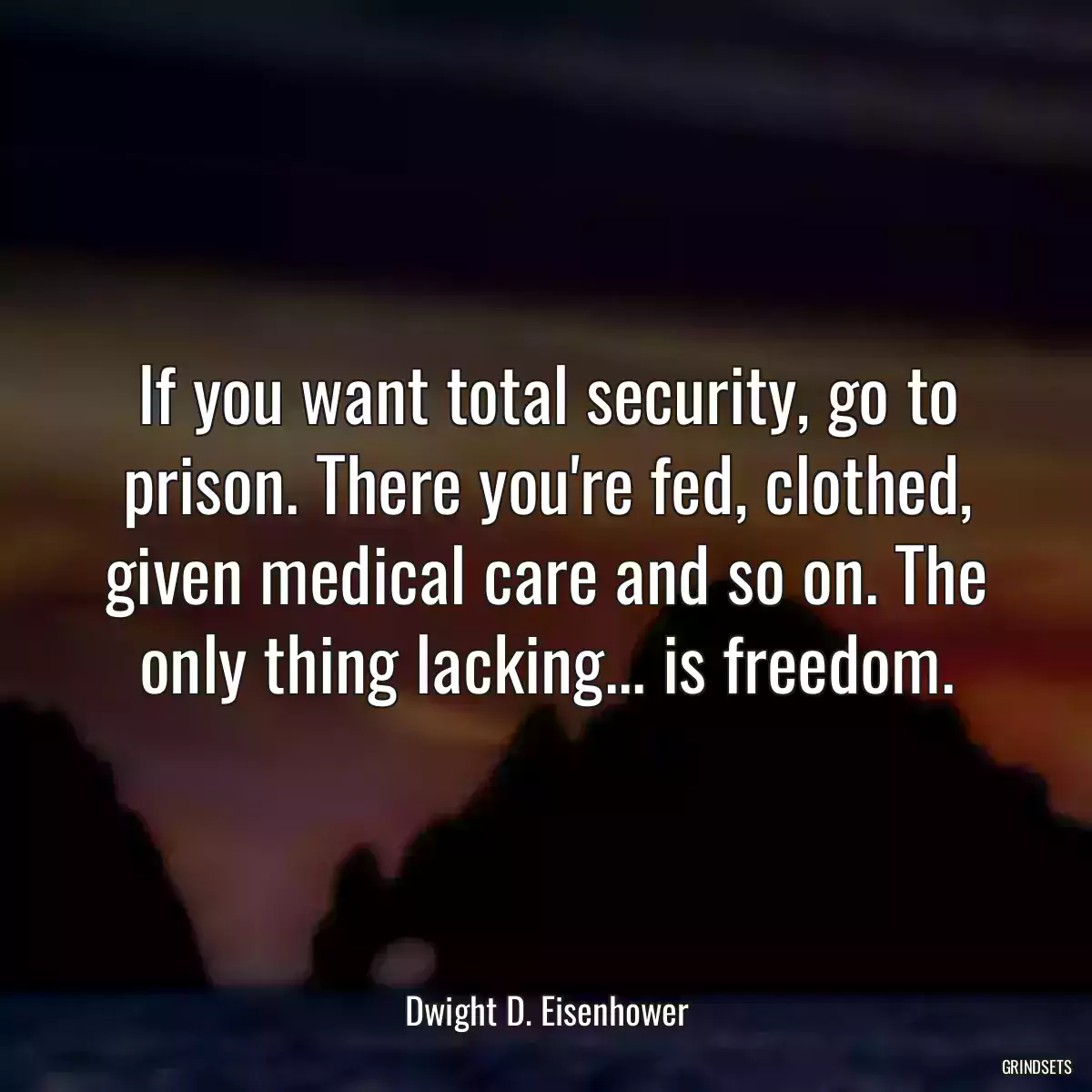 If you want total security, go to prison. There you\'re fed, clothed, given medical care and so on. The only thing lacking... is freedom.