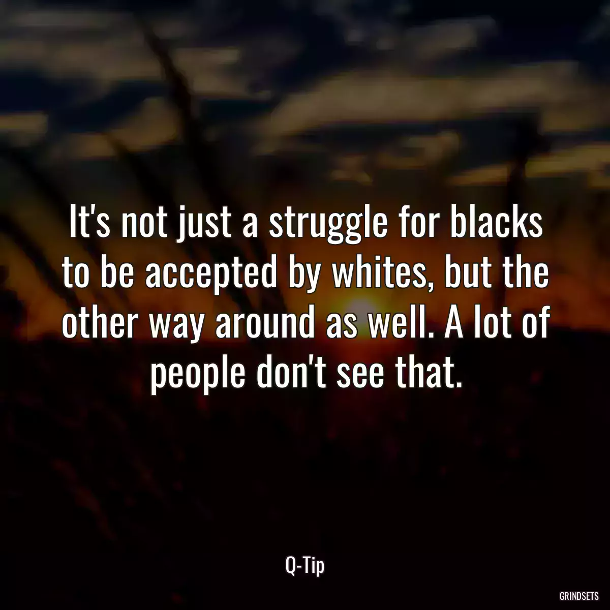 It\'s not just a struggle for blacks to be accepted by whites, but the other way around as well. A lot of people don\'t see that.