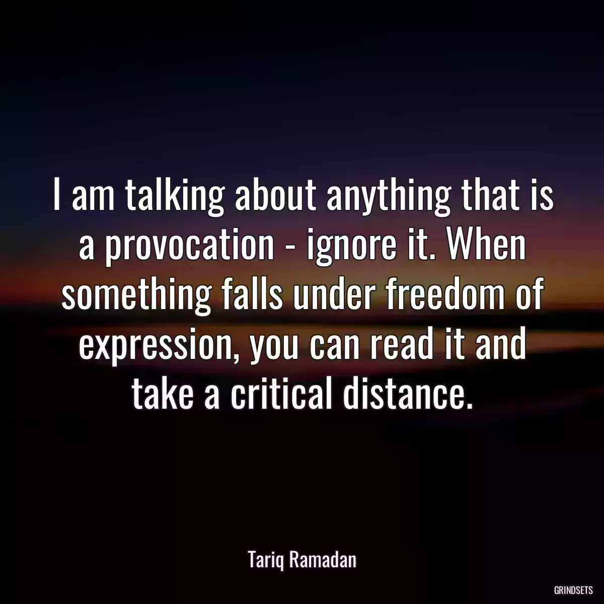 I am talking about anything that is a provocation - ignore it. When something falls under freedom of expression, you can read it and take a critical distance.