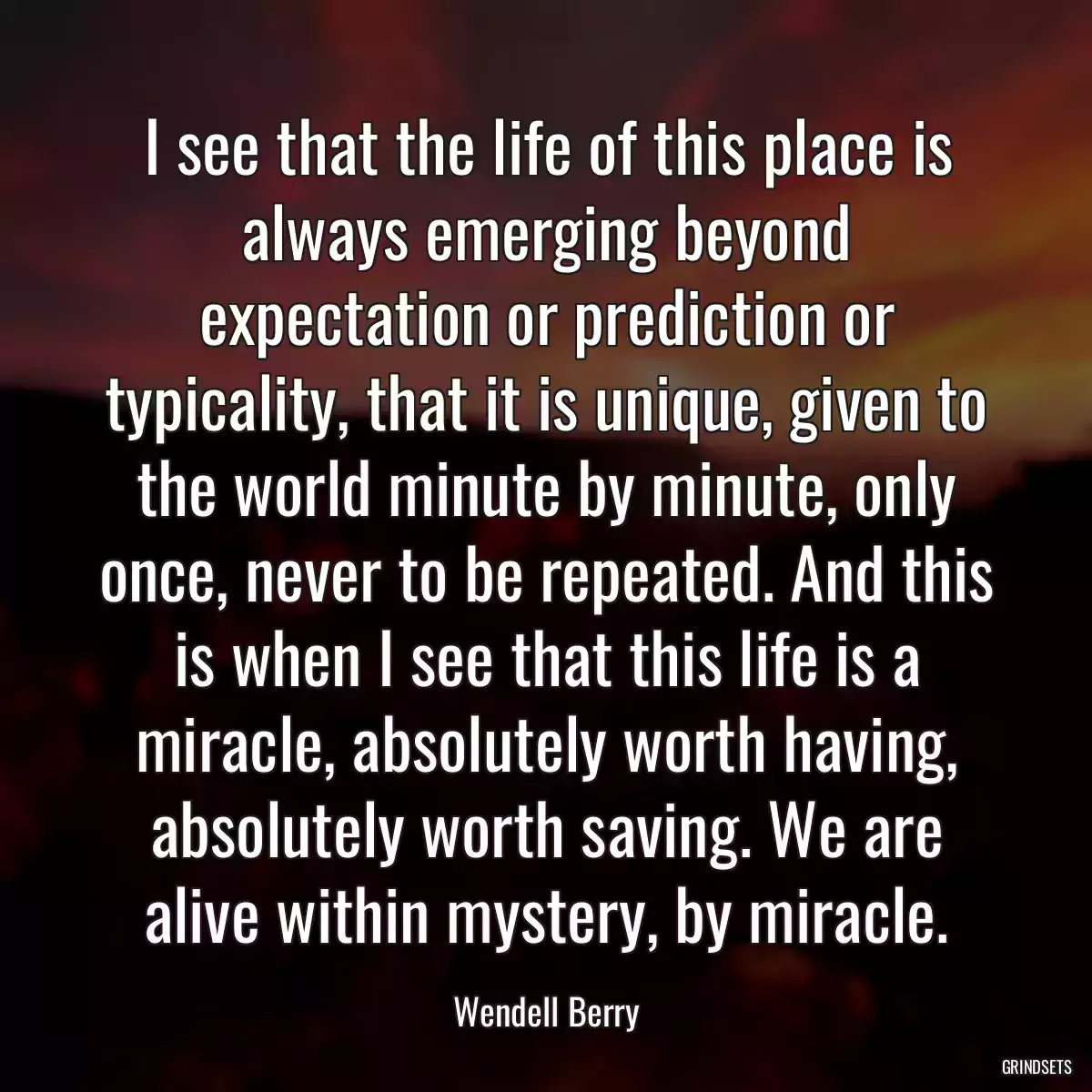 I see that the life of this place is always emerging beyond expectation or prediction or typicality, that it is unique, given to the world minute by minute, only once, never to be repeated. And this is when I see that this life is a miracle, absolutely worth having, absolutely worth saving. We are alive within mystery, by miracle.