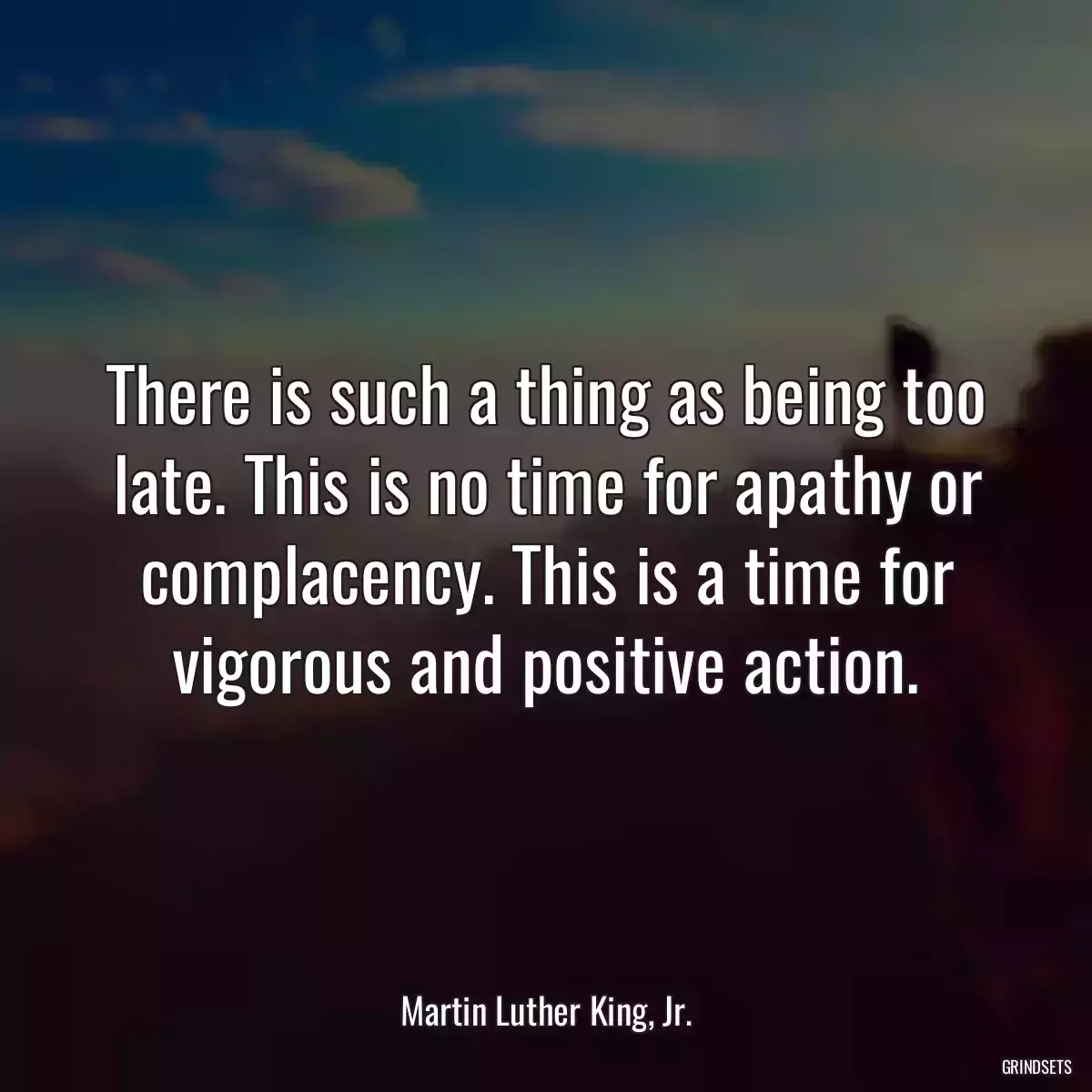 There is such a thing as being too late. This is no time for apathy or complacency. This is a time for vigorous and positive action.