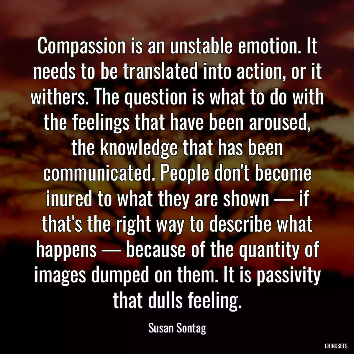 Compassion is an unstable emotion. It needs to be translated into action, or it withers. The question is what to do with the feelings that have been aroused, the knowledge that has been communicated. People don\'t become inured to what they are shown — if that\'s the right way to describe what happens — because of the quantity of images dumped on them. It is passivity that dulls feeling.