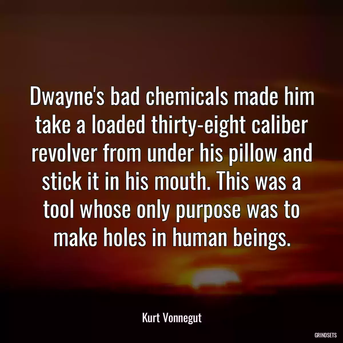 Dwayne\'s bad chemicals made him take a loaded thirty-eight caliber revolver from under his pillow and stick it in his mouth. This was a tool whose only purpose was to make holes in human beings.