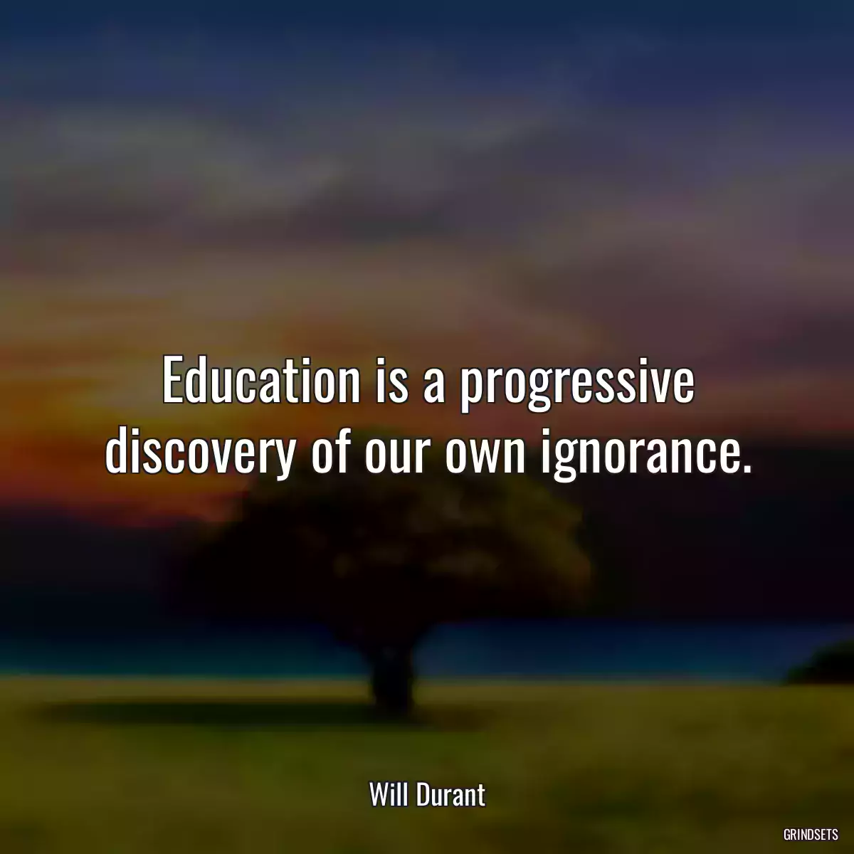 Education is a progressive discovery of our own ignorance.