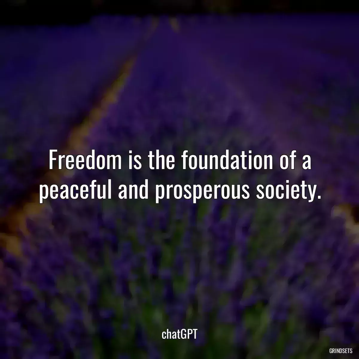 Freedom is the foundation of a peaceful and prosperous society.