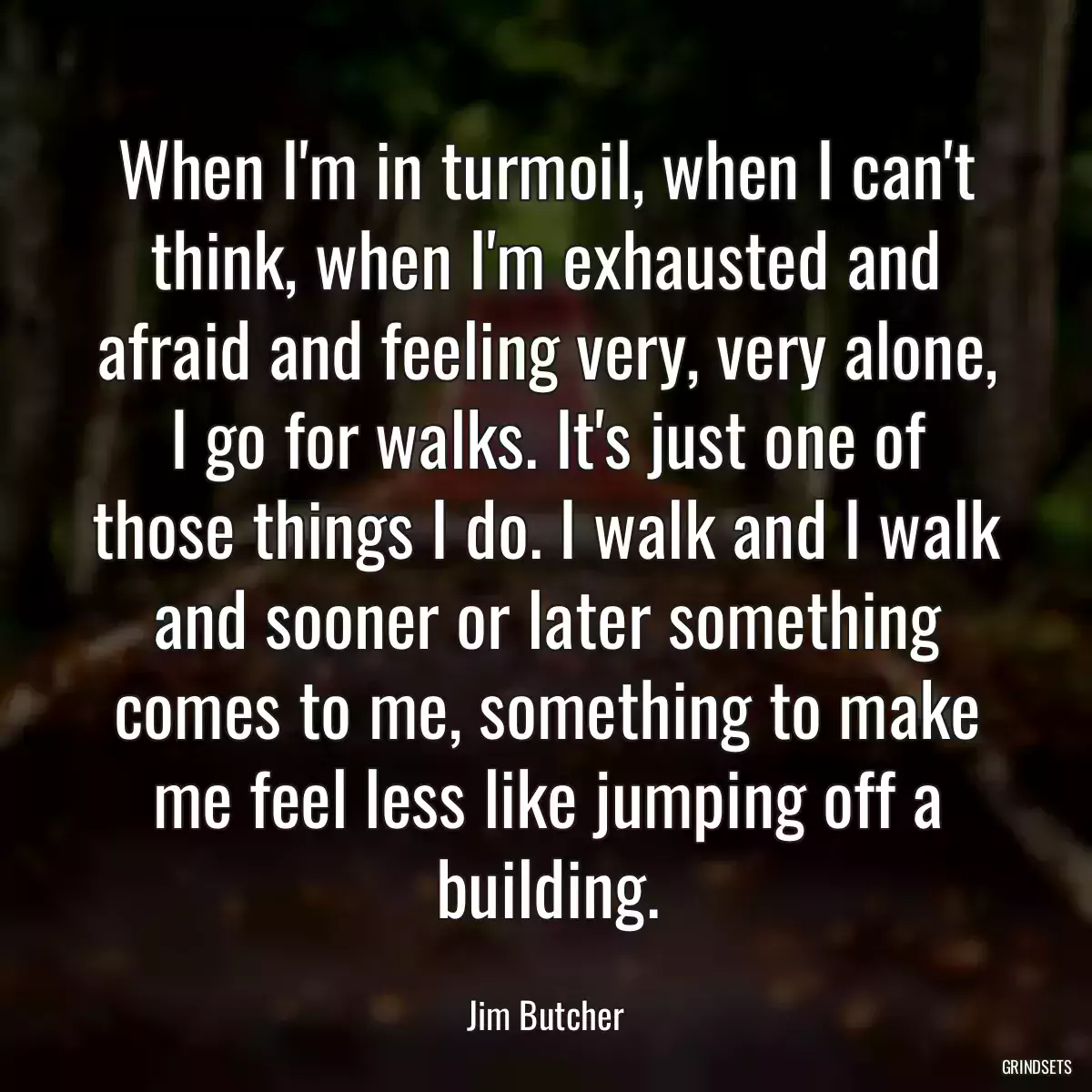 When I\'m in turmoil, when I can\'t think, when I\'m exhausted and afraid and feeling very, very alone, I go for walks. It\'s just one of those things I do. I walk and I walk and sooner or later something comes to me, something to make me feel less like jumping off a building.