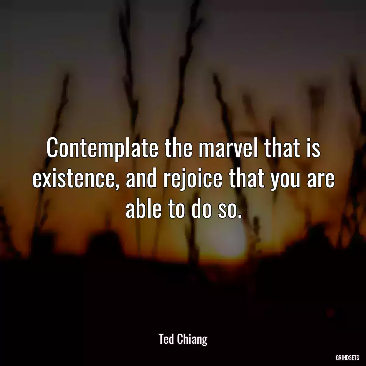 Contemplate the marvel that is existence, and rejoice that you are able to do so.