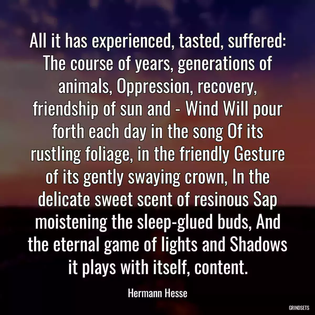 All it has experienced, tasted, suffered: The course of years, generations of animals, Oppression, recovery, friendship of sun and - Wind Will pour forth each day in the song Of its rustling foliage, in the friendly Gesture of its gently swaying crown, In the delicate sweet scent of resinous Sap moistening the sleep-glued buds, And the eternal game of lights and Shadows it plays with itself, content.