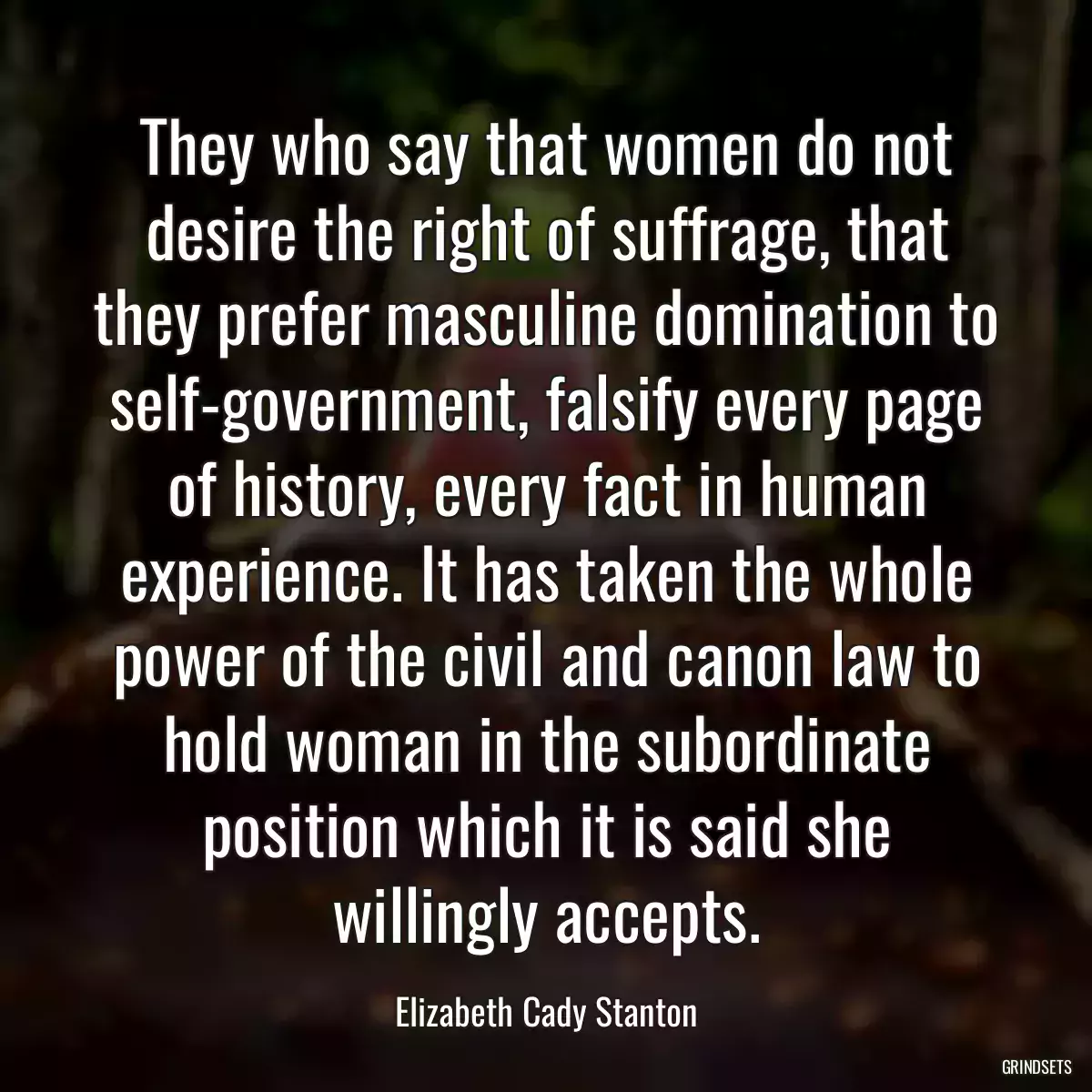 They who say that women do not desire the right of suffrage, that they prefer masculine domination to self-government, falsify every page of history, every fact in human experience. It has taken the whole power of the civil and canon law to hold woman in the subordinate position which it is said she willingly accepts.