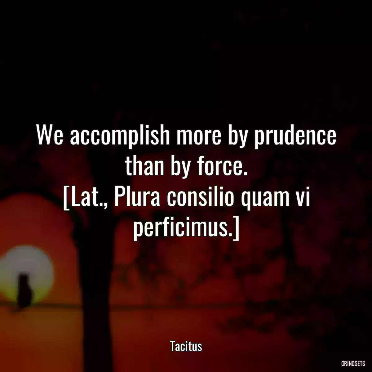 We accomplish more by prudence than by force.
[Lat., Plura consilio quam vi perficimus.]