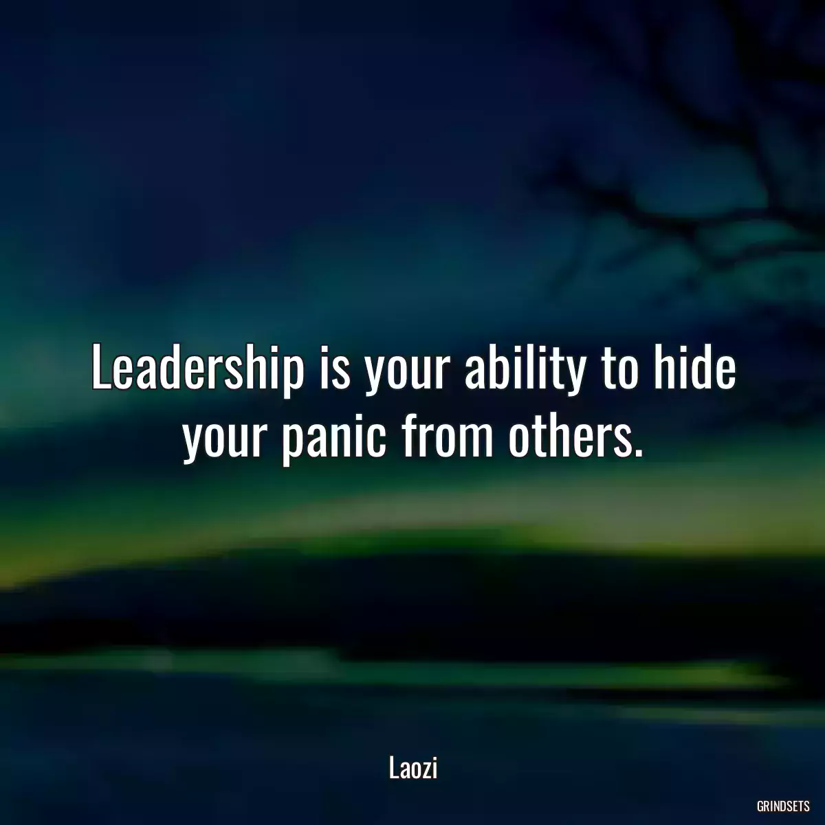 Leadership is your ability to hide your panic from others.