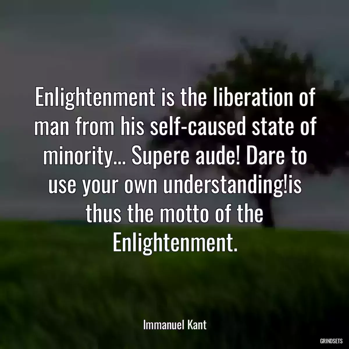 Enlightenment is the liberation of man from his self-caused state of minority... Supere aude! Dare to use your own understanding!is thus the motto of the Enlightenment.