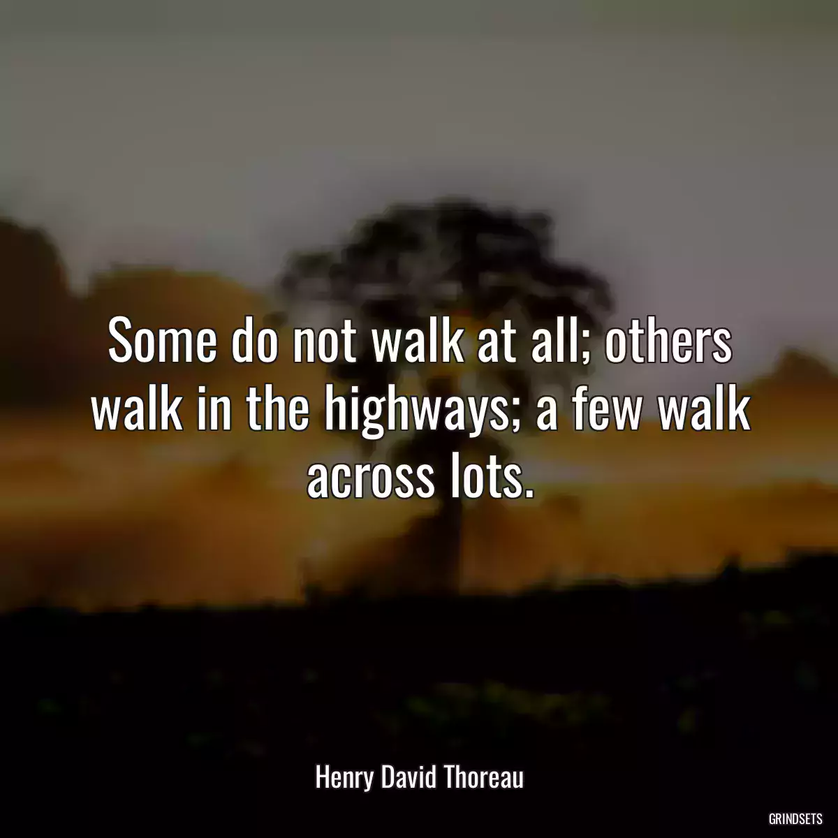 Some do not walk at all; others walk in the highways; a few walk across lots.