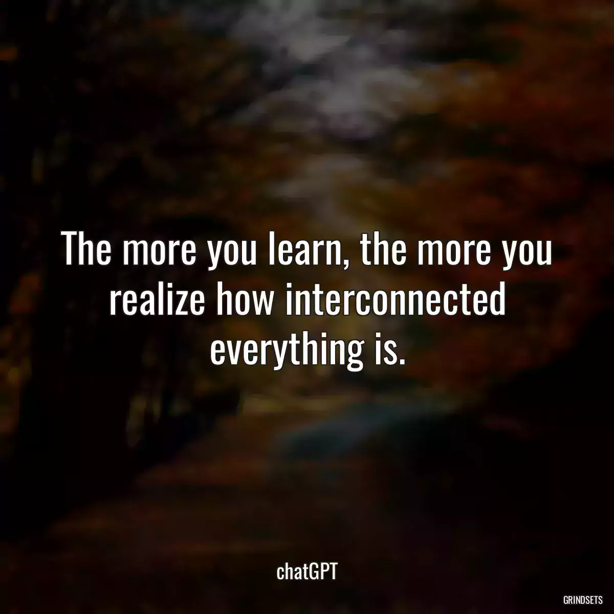 The more you learn, the more you realize how interconnected everything is.