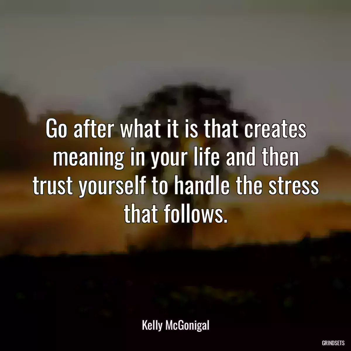 Go after what it is that creates meaning in your life and then trust yourself to handle the stress that follows.