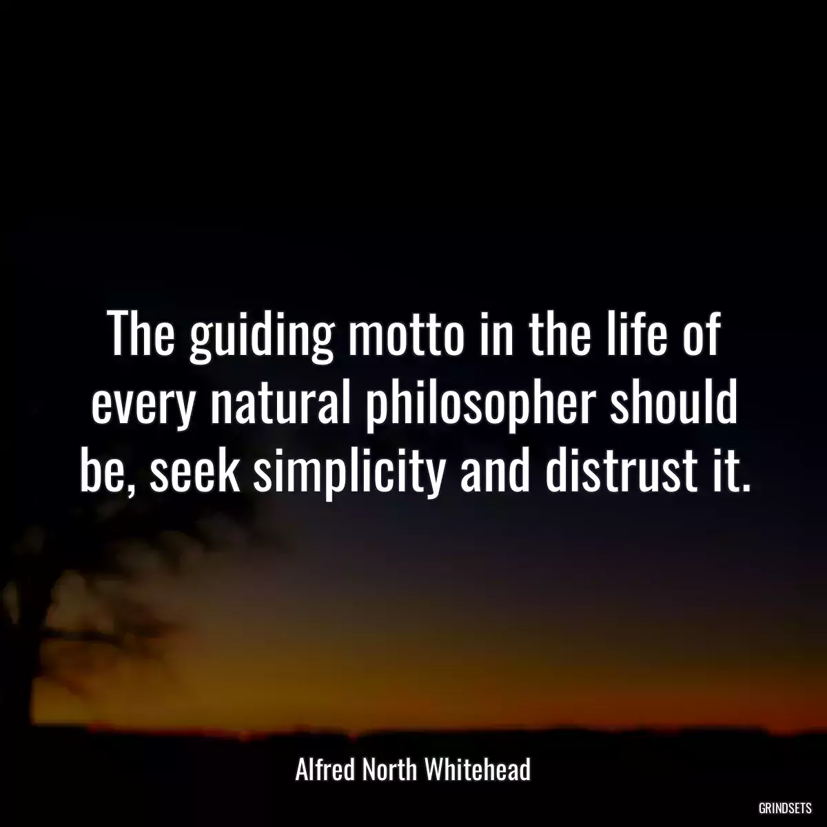 The guiding motto in the life of every natural philosopher should be, seek simplicity and distrust it.