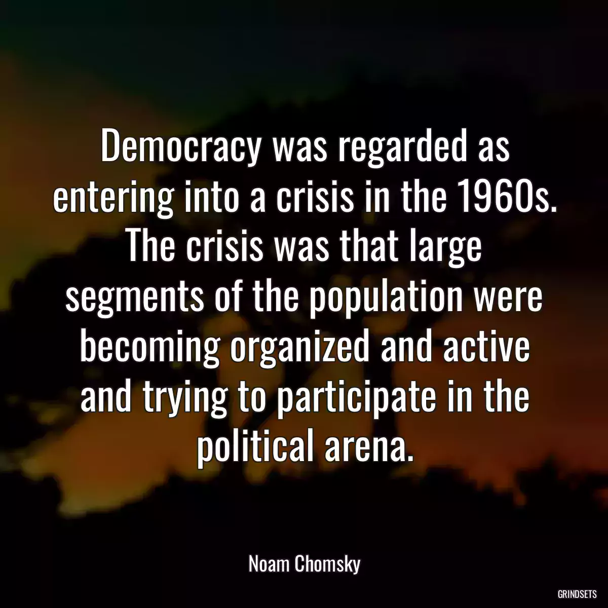 Democracy was regarded as entering into a crisis in the 1960s. The crisis was that large segments of the population were becoming organized and active and trying to participate in the political arena.