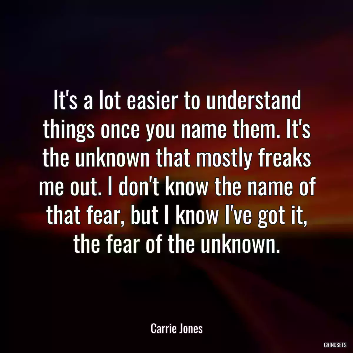 It\'s a lot easier to understand things once you name them. It\'s the unknown that mostly freaks me out. I don\'t know the name of that fear, but I know I\'ve got it, the fear of the unknown.