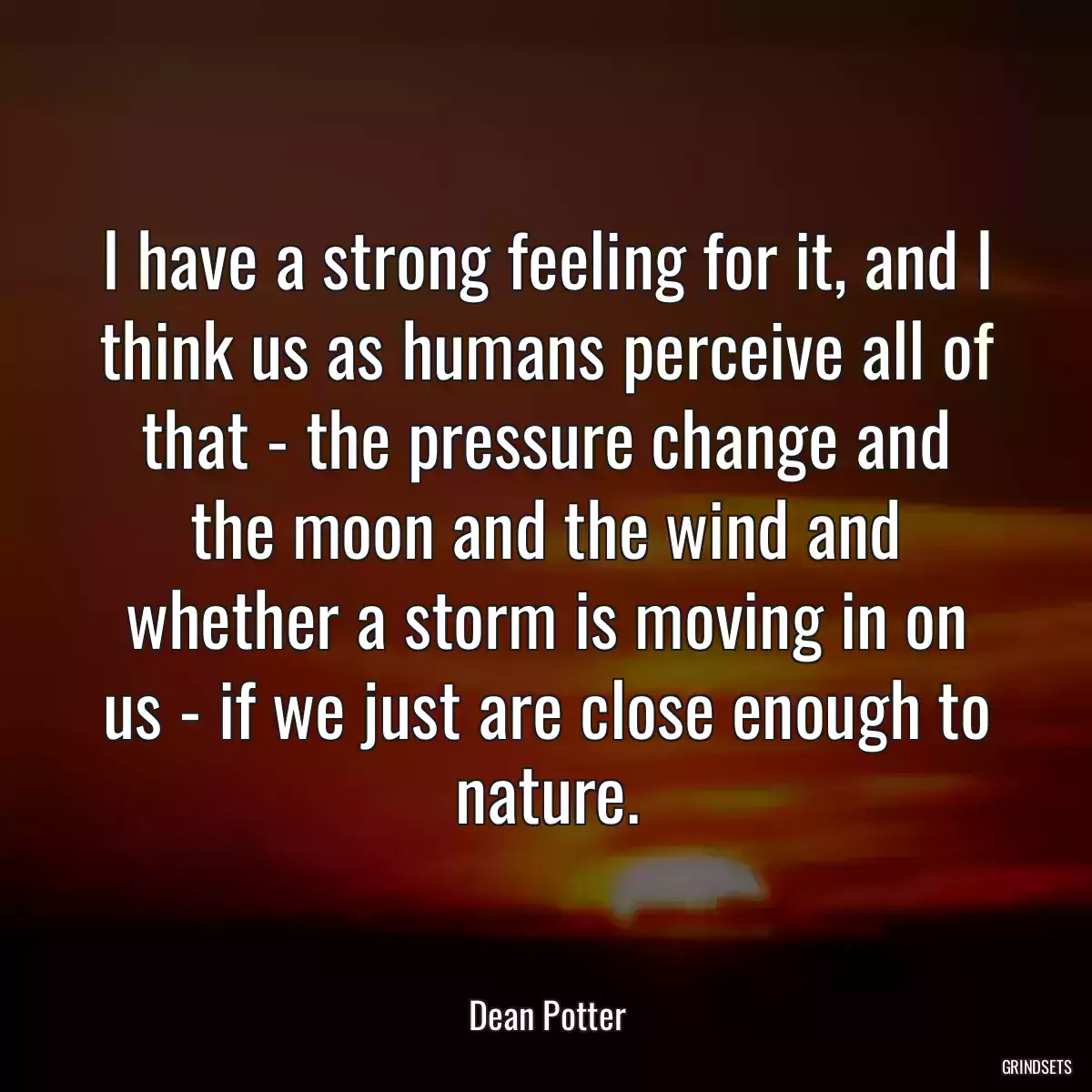 I have a strong feeling for it, and I think us as humans perceive all of that - the pressure change and the moon and the wind and whether a storm is moving in on us - if we just are close enough to nature.