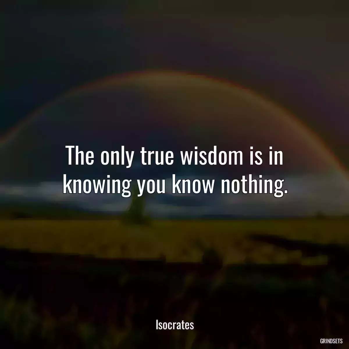 The only true wisdom is in knowing you know nothing.