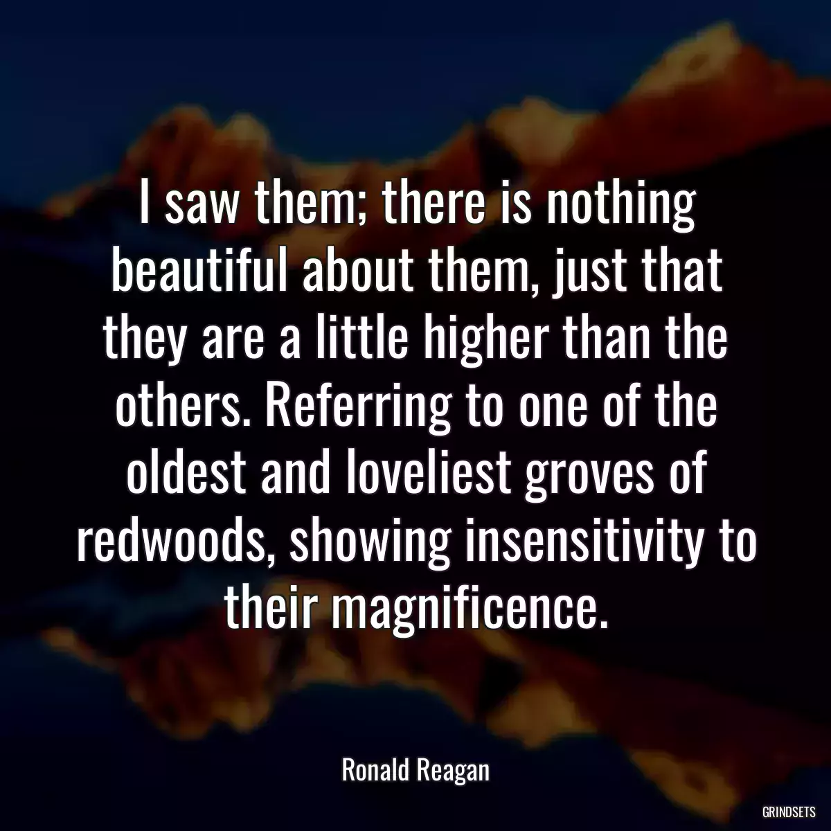 I saw them; there is nothing beautiful about them, just that they are a little higher than the others. Referring to one of the oldest and loveliest groves of redwoods, showing insensitivity to their magnificence.