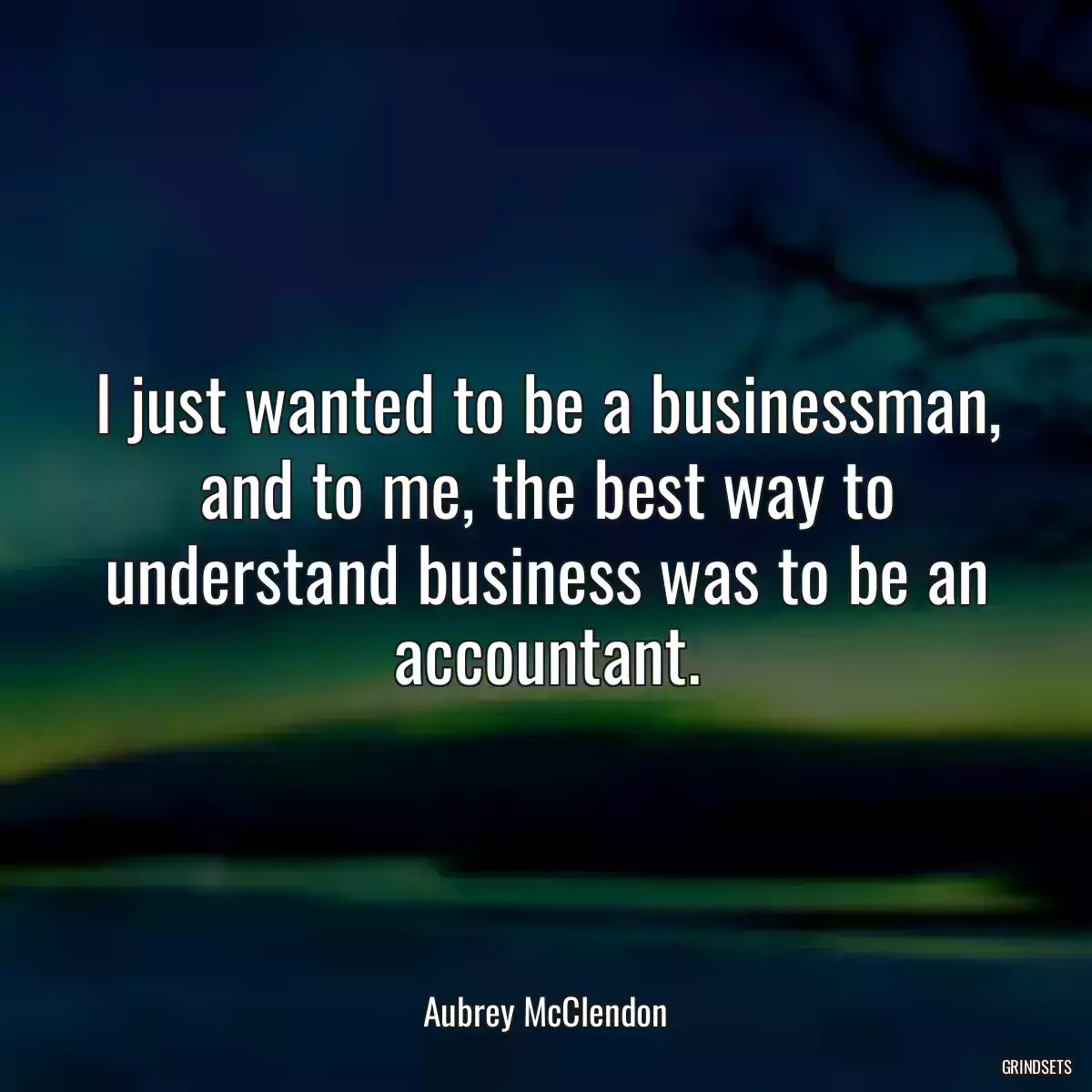 I just wanted to be a businessman, and to me, the best way to understand business was to be an accountant.