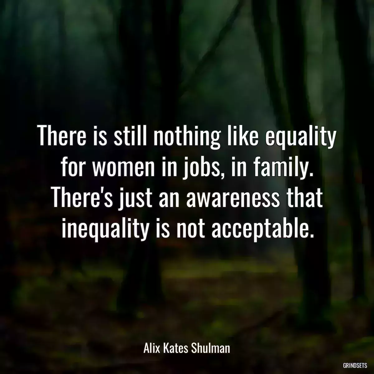 There is still nothing like equality for women in jobs, in family. There\'s just an awareness that inequality is not acceptable.