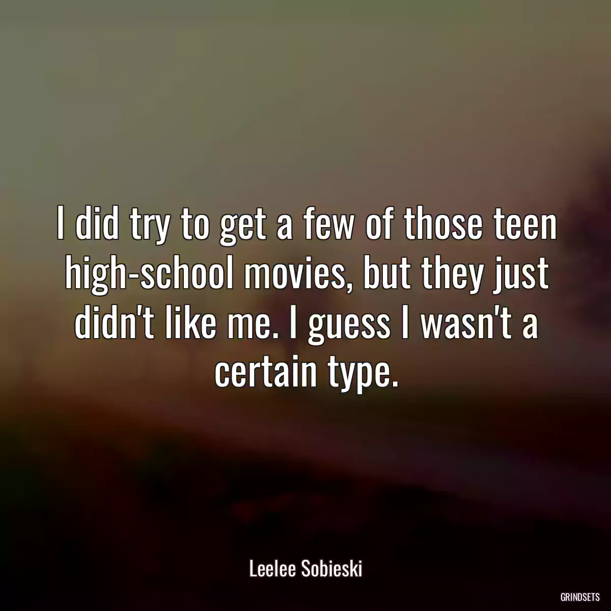 I did try to get a few of those teen high-school movies, but they just didn\'t like me. I guess I wasn\'t a certain type.